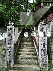 催收要征信報(bào)告干嘛
