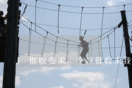 催收要求還全款(催收求我還款)