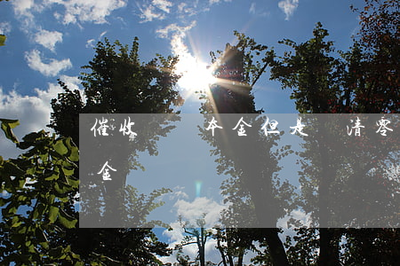 催收說還本金但是沒清零（催收人員說只還本金）