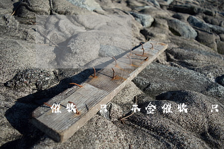 催收讓只還本金(催收讓只還本金什么意思)