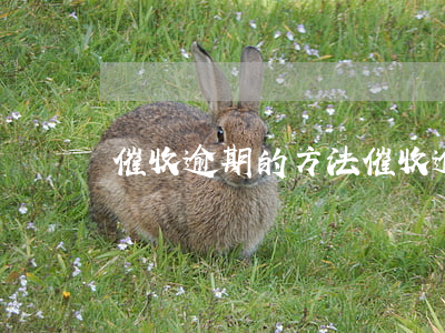 催收逾期的方法 催收逾期貸款的方法