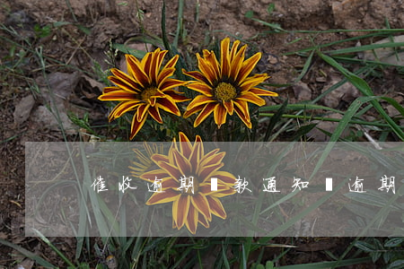 催收逾期還款通知書(逾期貸款催收通知書)