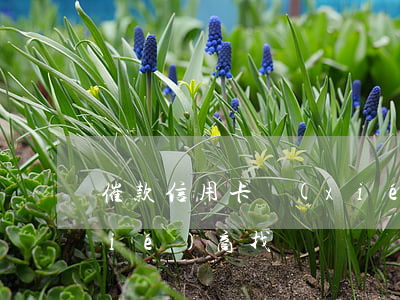 催款信用卡協(xié)商(欠信用卡協(xié)商找誰)
