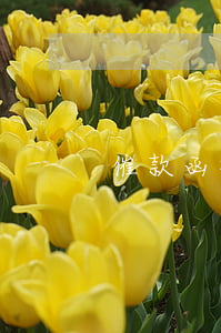 催款函格式(催款函格式)