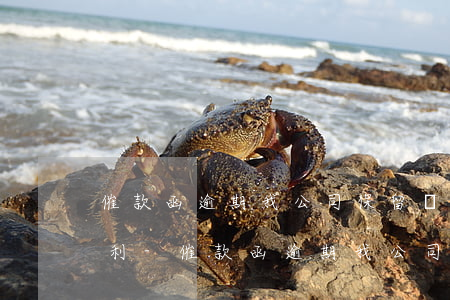 催款函逾期我公司保留訴訟權(quán)利-催款函逾期我公司保留訴訟權(quán)利嗎