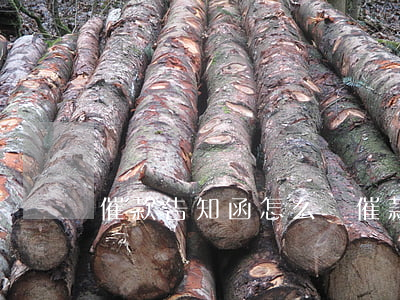 催款告知函怎么寫(催款通知函范文簡短)