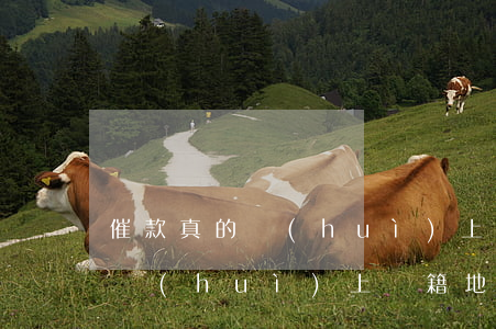 催款真的會(huì)上戶籍地嗎(催款真的會(huì)上戶籍地嗎)