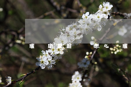 催討借款起訴狀怎么寫（催要欠錢起訴狀怎么寫）
