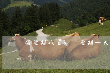 催逾期八百(8萬逾期一天多少錢)