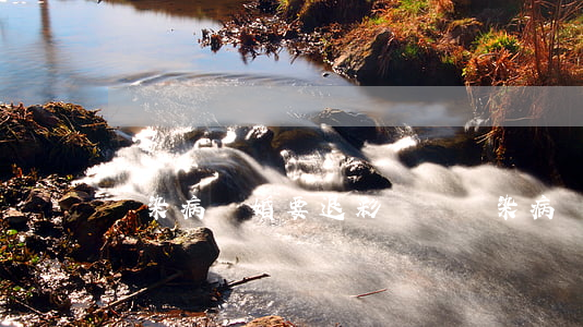 傳染病離婚要退彩禮嗎(傳染病離婚要退彩禮嗎)