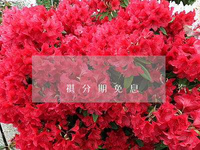 傳祺分期免息嗎 廣汽傳祺分期付款不用利息?