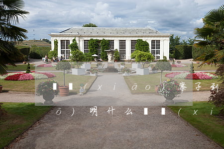 傳銷(xiāo)案子到檢察院說(shuō)明什么(傳銷(xiāo)案子到檢察院說(shuō)明什么)