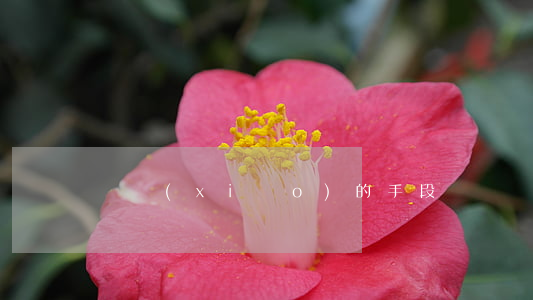 傳銷(xiāo)的手段
