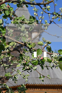 傳銷如何定罪(參與傳銷違法嗎 怎樣定罪)