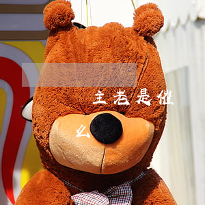債主老是催債沒錢還怎么辦(債主天天要錢怎么辦)