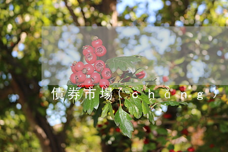 債券市場(chǎng)具備哪些功能