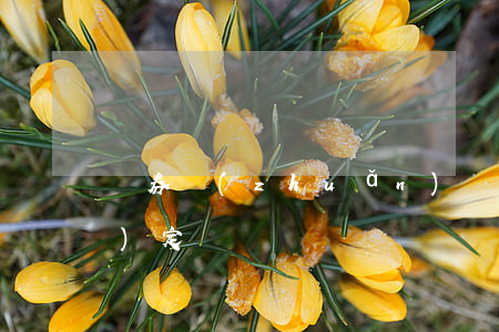 債券轉(zhuǎn)讓有什么規(guī)定
