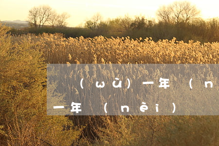債務(wù)一年內(nèi)無力償還-一年內(nèi)償還的債務(wù)