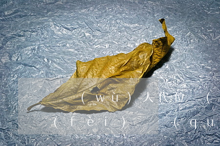 債務(wù)人代位權(quán)律師費(fèi)(債權(quán)人代位權(quán)糾紛訴訟費(fèi))