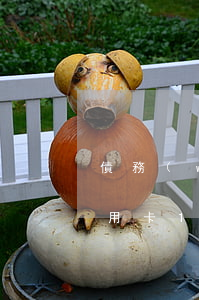 債務(wù)人信用卡逾期1個月后果-信用卡15000逾期半年
