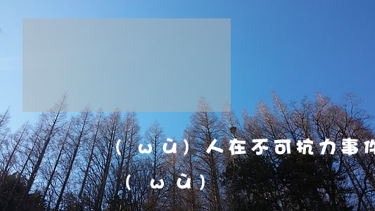 債務(wù)人在不可抗力事件中具有何種義務(wù)