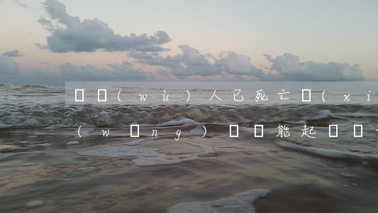債務(wù)人已死亡銷(xiāo)戶網(wǎng)貸還能起訴嗎-人死債消網(wǎng)貸