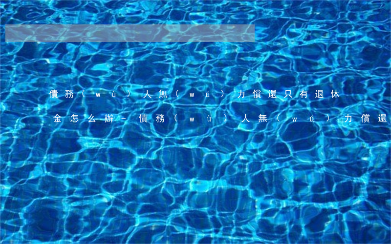 債務(wù)人無(wú)力償還只有退休金怎么辦-債務(wù)人無(wú)力償還只有退休金怎么辦理