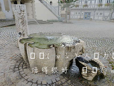 債務(wù)人無力償還債務(wù)卻生活得很好-債務(wù)人無力償還債務(wù)怎么辦