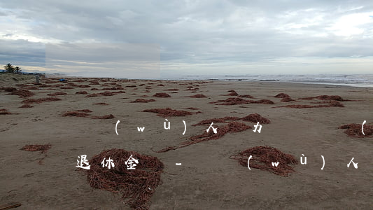 債務(wù)人無力償還債務(wù)會扣退休金嗎-債務(wù)人無力償還債務(wù)會扣退休金嗎怎么辦