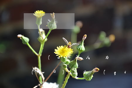 債務(wù)人無力償還債務(wù)法務(wù)怎么強(qiáng)制執(zhí)行-債務(wù)人無力償還債務(wù)法務(wù)怎么強(qiáng)制執(zhí)行呢