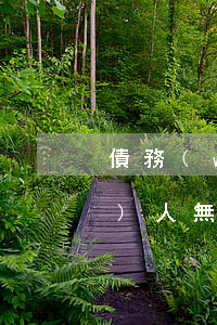 債務(wù)人無力償還坐牢嗎(債務(wù)人無力還款法院怎么處理)