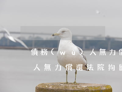 債務(wù)人無力償還法院(債務(wù)人無力償還法院拘留)