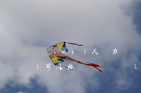 債務(wù)人無力償還的債權(quán)可以拍賣嗎-債務(wù)人無力償還的債權(quán)可以拍賣嗎合法嗎