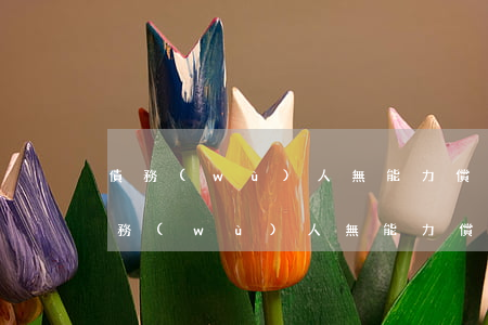 債務(wù)人無能力償還債務(wù)(債務(wù)人無能力償還債務(wù)只有退休金2000能扣給債主嗎)