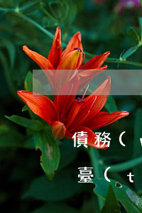 債務(wù)人能起訴網(wǎng)貸平臺(tái)(債務(wù)人起訴網(wǎng)貸平臺(tái)裁判文書(shū))