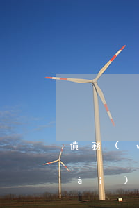 債務(wù)人轉(zhuǎn)移財(cái)產(chǎn)應(yīng)該怎么辦