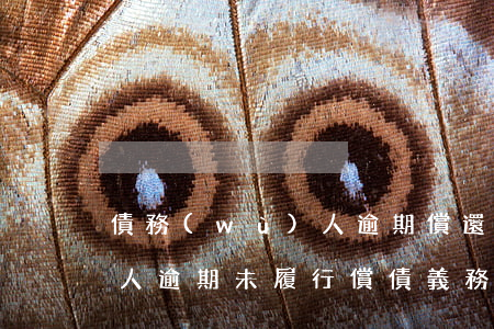 債務(wù)人逾期償還能力(債務(wù)人逾期未履行償債義務(wù))