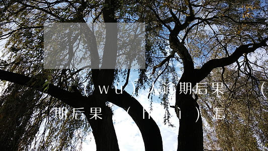 債務(wù)人逾期后果(債務(wù)人逾期后果會(huì)怎樣)