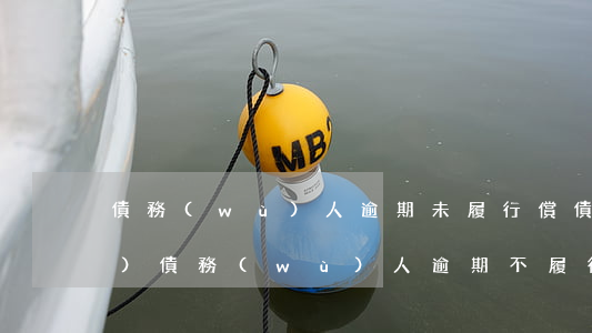 債務(wù)人逾期未履行償債義務(wù)（債務(wù)人逾期不履行債務(wù)的法律后果）