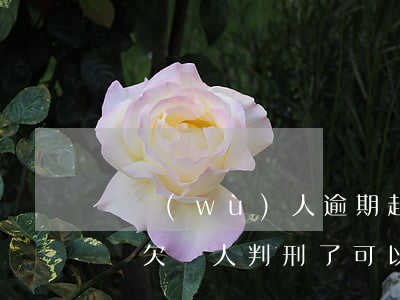 債務(wù)人逾期起訴會(huì)判刑嗎(欠債人判刑了可以起訴嗎)