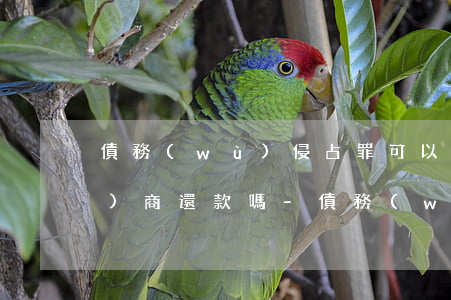 債務(wù)侵占罪可以跟公司協(xié)商還款嗎-債務(wù)侵占罪可以跟公司協(xié)商還款嗎?