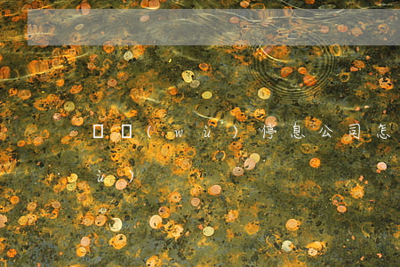 債務(wù)停息公司怎么開(暫停債務(wù))