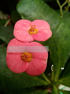 債務(wù)合同糾紛如何起訴糾紛(民事起訴狀債務(wù)糾紛)
