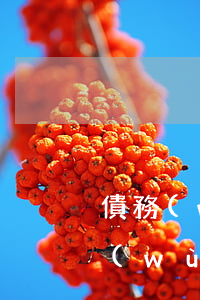 債務(wù)合同糾紛如何起訴(起訴狀債務(wù)糾紛)