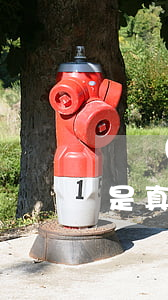 債務(wù)委托合法嗎 債務(wù)委托是真的嗎
