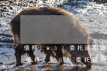 債務(wù)委托延期還款是真的嗎知乎-債務(wù)委托延期還款是真的嗎知乎