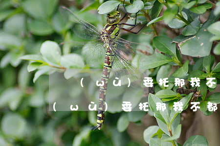 債務(wù)委托那我不都逾期了嗎-債務(wù)委托那我不都逾期了嗎