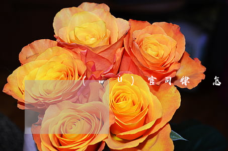 債務(wù)官司律師怎么收費(fèi)