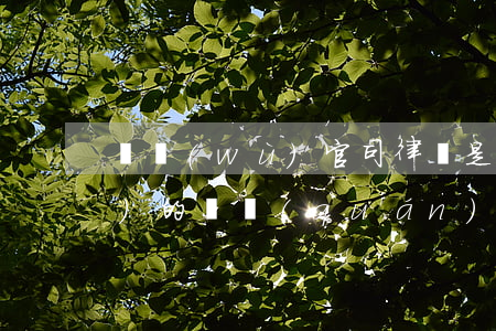債務(wù)官司律師是怎么收費(fèi)的(債權(quán)案件律師費(fèi)一般怎么收費(fèi))