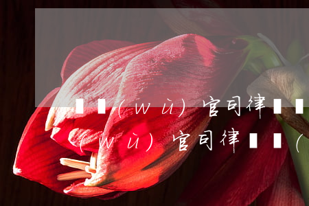 債務(wù)官司律師費(fèi)-債務(wù)官司律師費(fèi)怎么收
